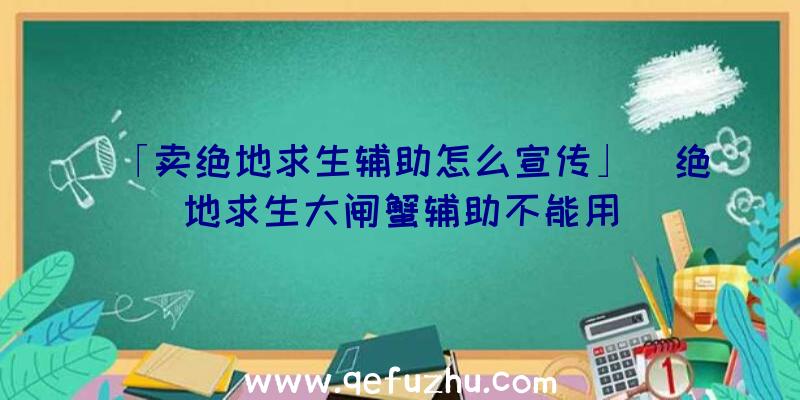 「卖绝地求生辅助怎么宣传」|绝地求生大闸蟹辅助不能用